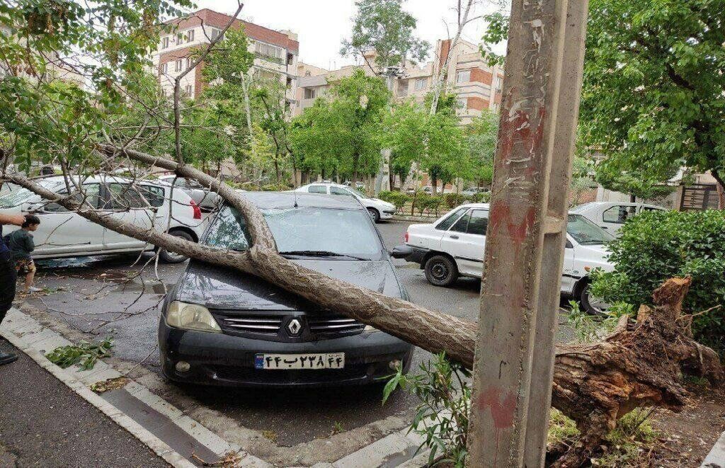 سقوط ٨٠ اصله درخت و 9 مجروح در  توفان تهران 