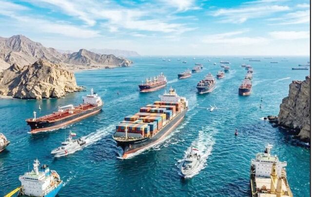 کشتی‌های هرمز؛ زیستگاه‌های متحرک گونه‌های مهاجم دریایی
