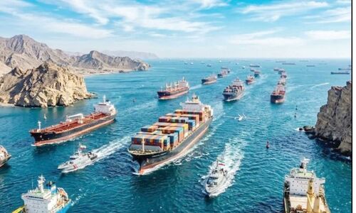 کشتی‌های هرمز؛ زیستگاه‌های متحرک گونه‌های مهاجم دریایی