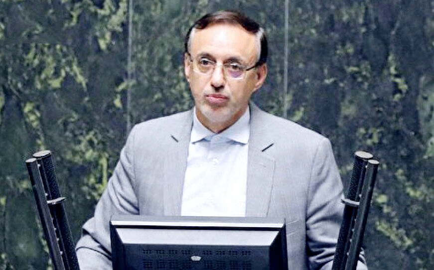 
وزیر اقتصاد هیچ معضل اقتصادی را گردن نمی‌گیرد