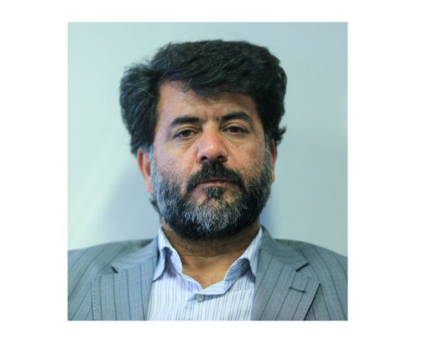 
حذف شرکت‌های پیمانکاری در گرو  اراده جدی مجلس است
