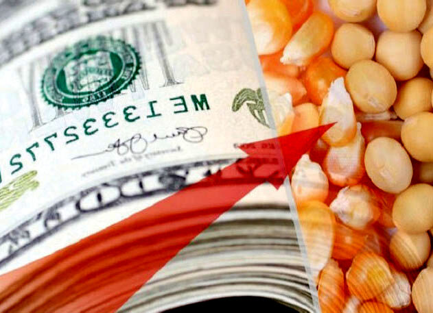 واردات نهاده‌های دامی از طریق مافیای اقتصادی انجام می‌شود