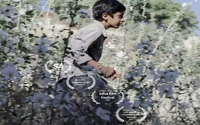 فیلم کوتاه «سوور» در چهار جشنواره جهانی