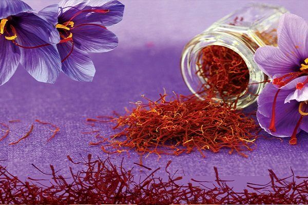 رانت ۲ تن زعفران در اختیار یک شخص و شرکت خاص